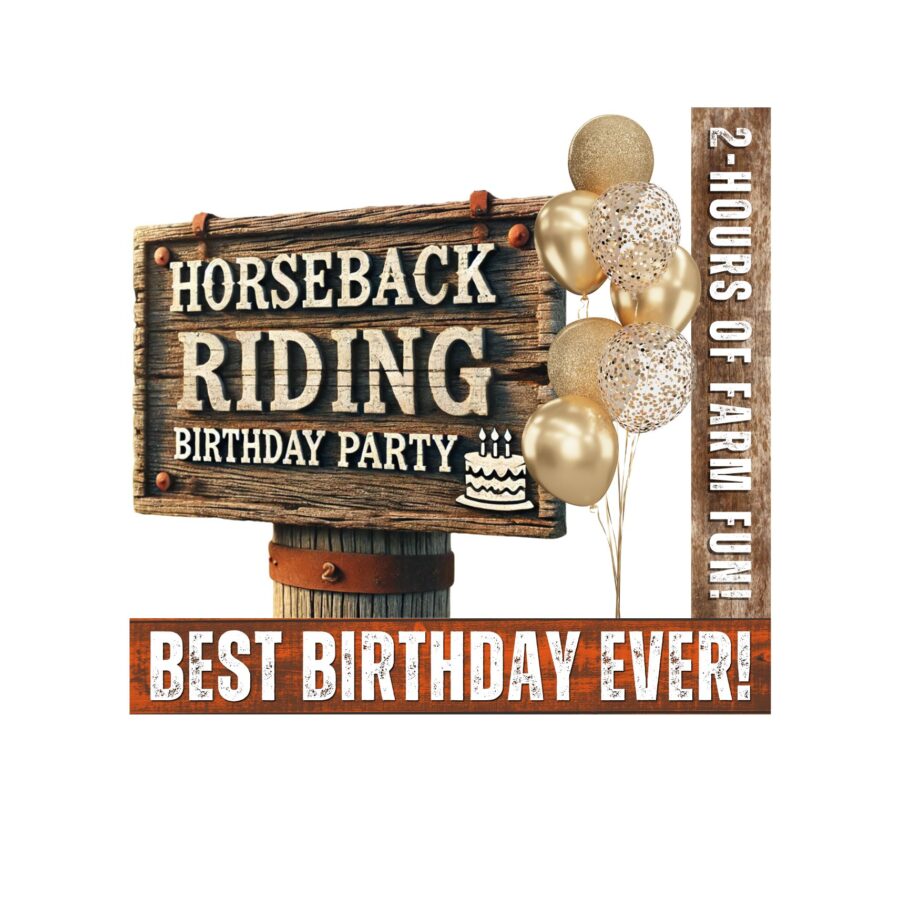 Horseback Riding <br> Birthday Party