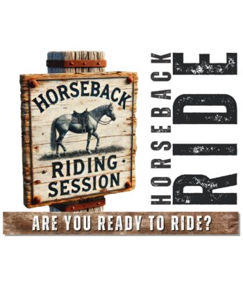 Horseback Riding Session: Learn, Ride, and Explore