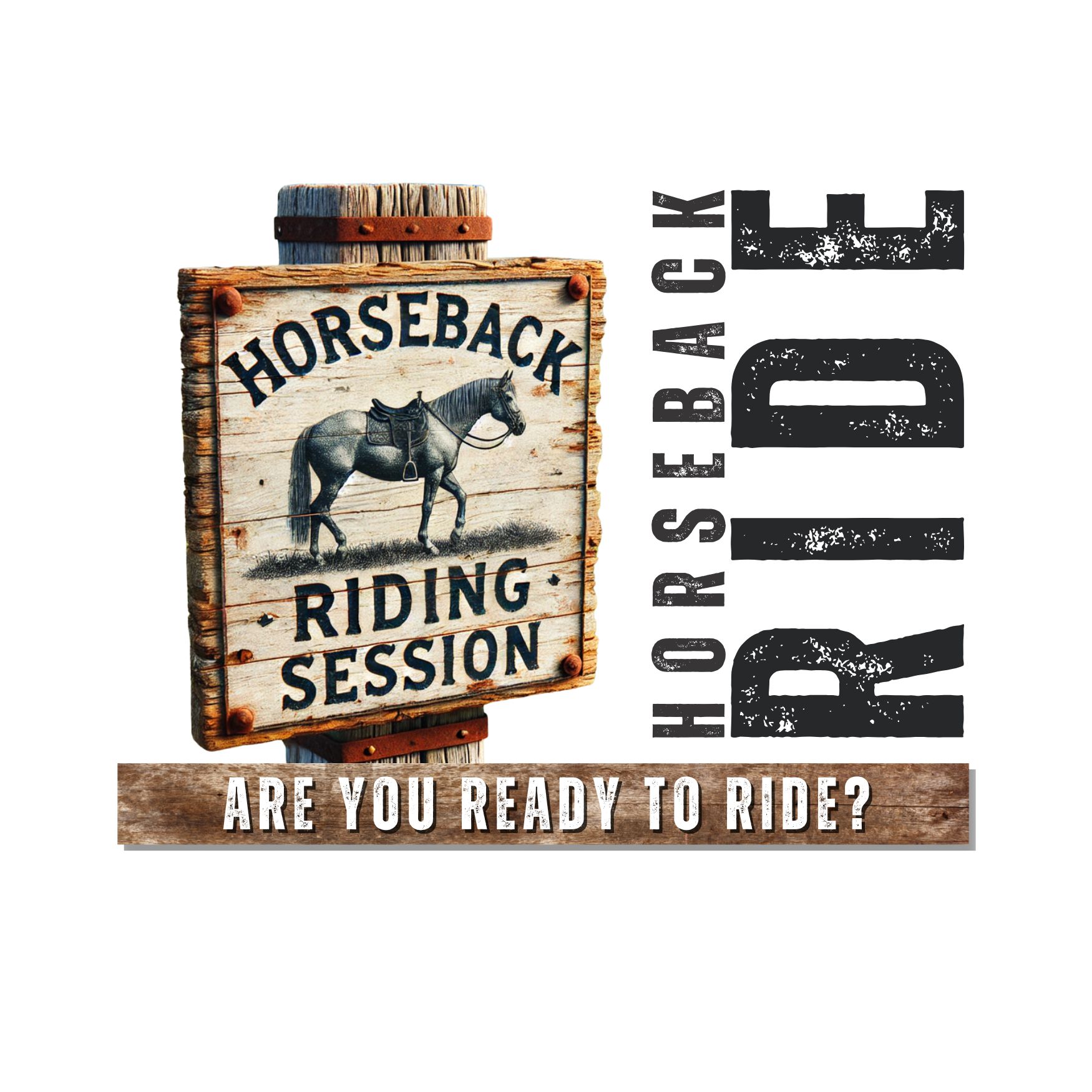 Horseback Riding Session: Learn, Ride, and Explore