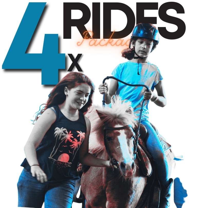 4x Rides - Horseback Riding Package
