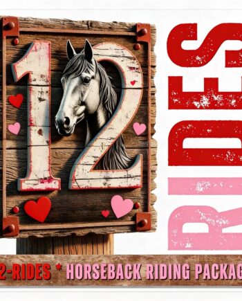 Sweetheart Deal: Future Rider > Starter 12-Pack