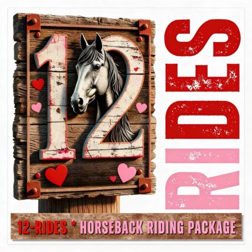 Sweetheart Deal: Future Rider > Starter 12-Pack