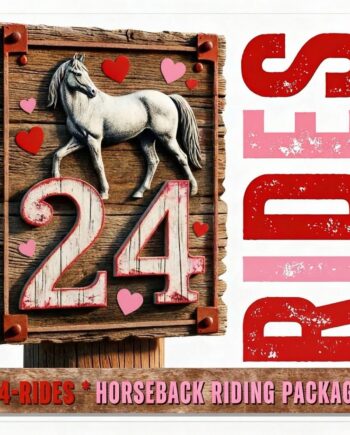 Sweetheart Deal: Family Memory Maker 24-Pack