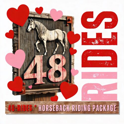 Sweetheart Deal: Ultimate Family Ride 48-Pack