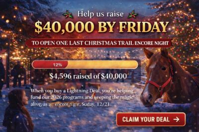 Help Us Hit Our 2026 Operating Budgets & Open an Encore Night of The Christmas Trail