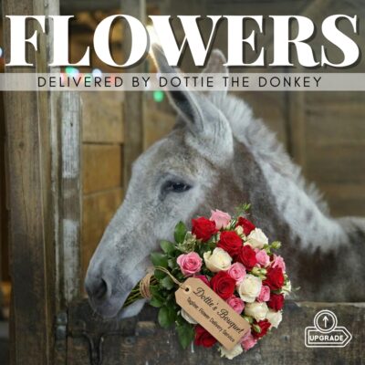 Dottie’s Bouquet Delivery — $299 🫏💐