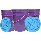 Donation: House Naturals 5 Gallon Purple Food Grade Plastic Bucket with Screw on Gamma lid, BPA Free, Made in USA (Pack of 3) (Purple Bucket with Aqua lids)