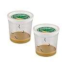 Donation: Insect Lore 2 Cups of Caterpillars Basic - 10 Live Baby Painted Lady Caterpillars - Refill for Habitat Kit - Caterpillars and Food Included