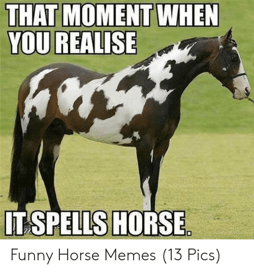 you-realise-tspells-horse-funny-horse-memes-13-pics-53857450