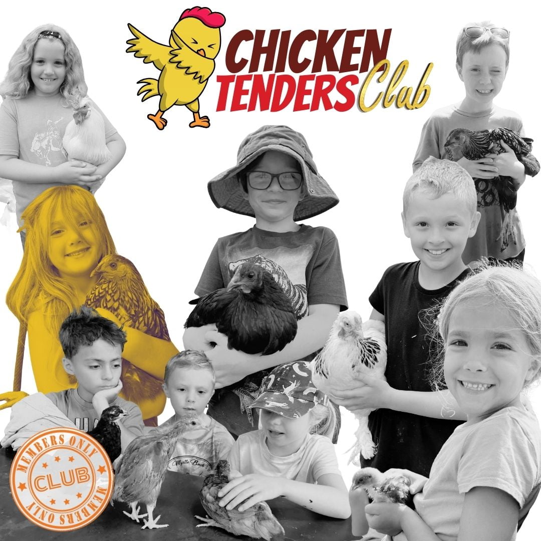 A promotional image for the "Chicken Tenders Club" featuring a cartoon chicken at the top and a collage of black-and-white and color photographs of smiling children holding and interacting with various chickens. A circular badge at the bottom reads "MEMBERS ONLY CLUB".