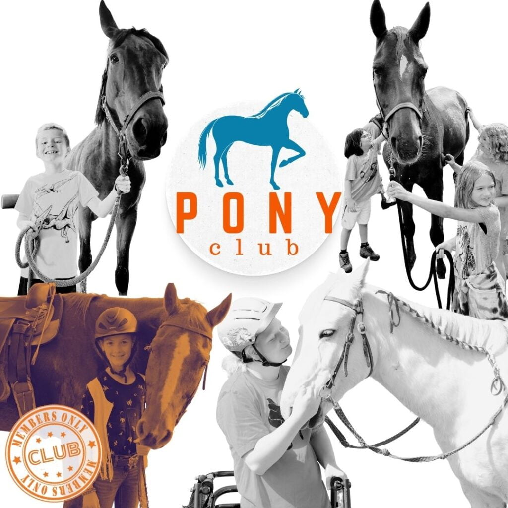 Collage image featuring children engaging with horses and the text "PONY club" with a blue silhouette of a horse in the center, and a stamp that reads "MEMBERS ONLY CLUB" on the bottom left.