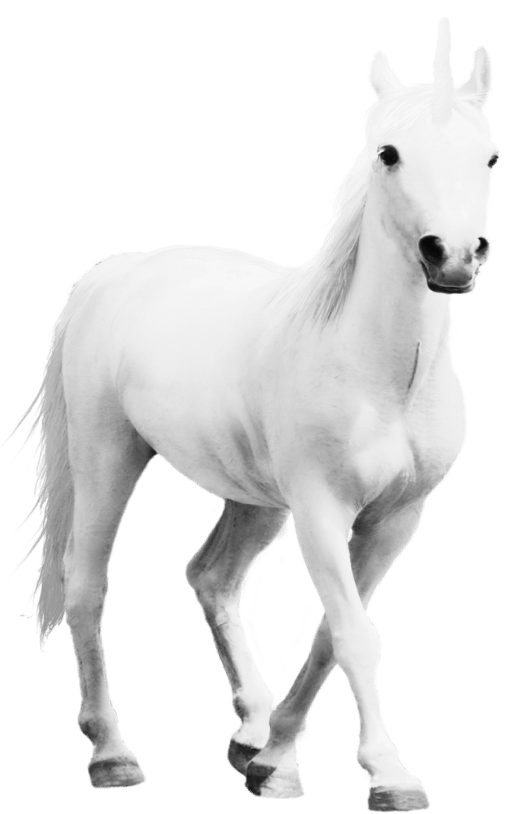A white horse in profile with a straight, pointed horn on its forehead against a plain green background, resembling a unicorn.